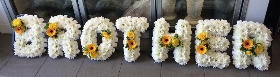 Yellow and White Brother Tribute