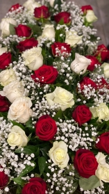 Red Rose and White Rose Casket Spray