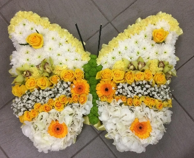 Citrus Butterfly Tribute
