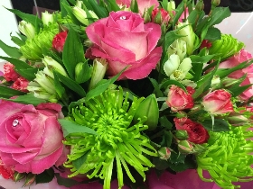 Cerise and Lime Handtied