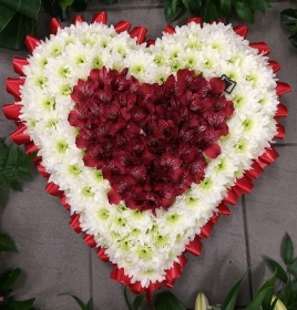 Alstroemeria Heart