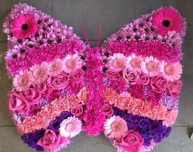 PURPLE AND PINK BUTTERFLY