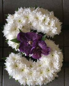 Purple Orchid Sister Tribute