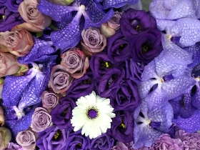Purple Orchid Butterfly Tribute
