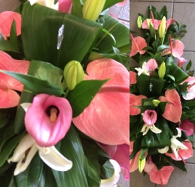 Contemporary Anthurium Funeral Spray