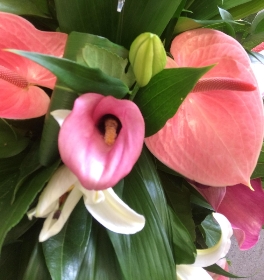 Contemporary Anthurium Funeral Spray