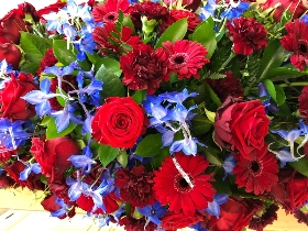 Claret and Blue Casket Spray