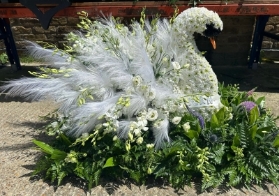 Swan Tribute