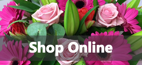 Forget Me Not Flowers Florist In Grays Essex